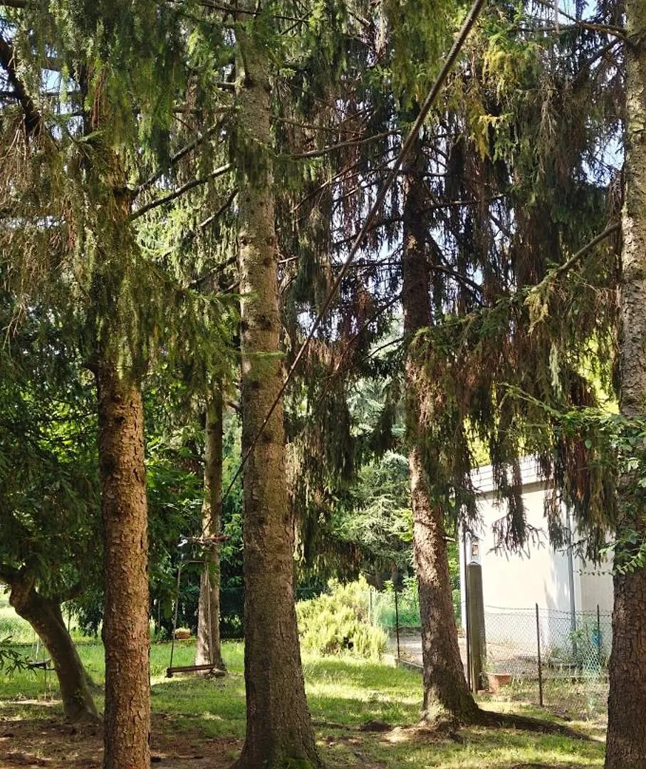 Oasi Verde Μέστρε 0*,  Ιταλία